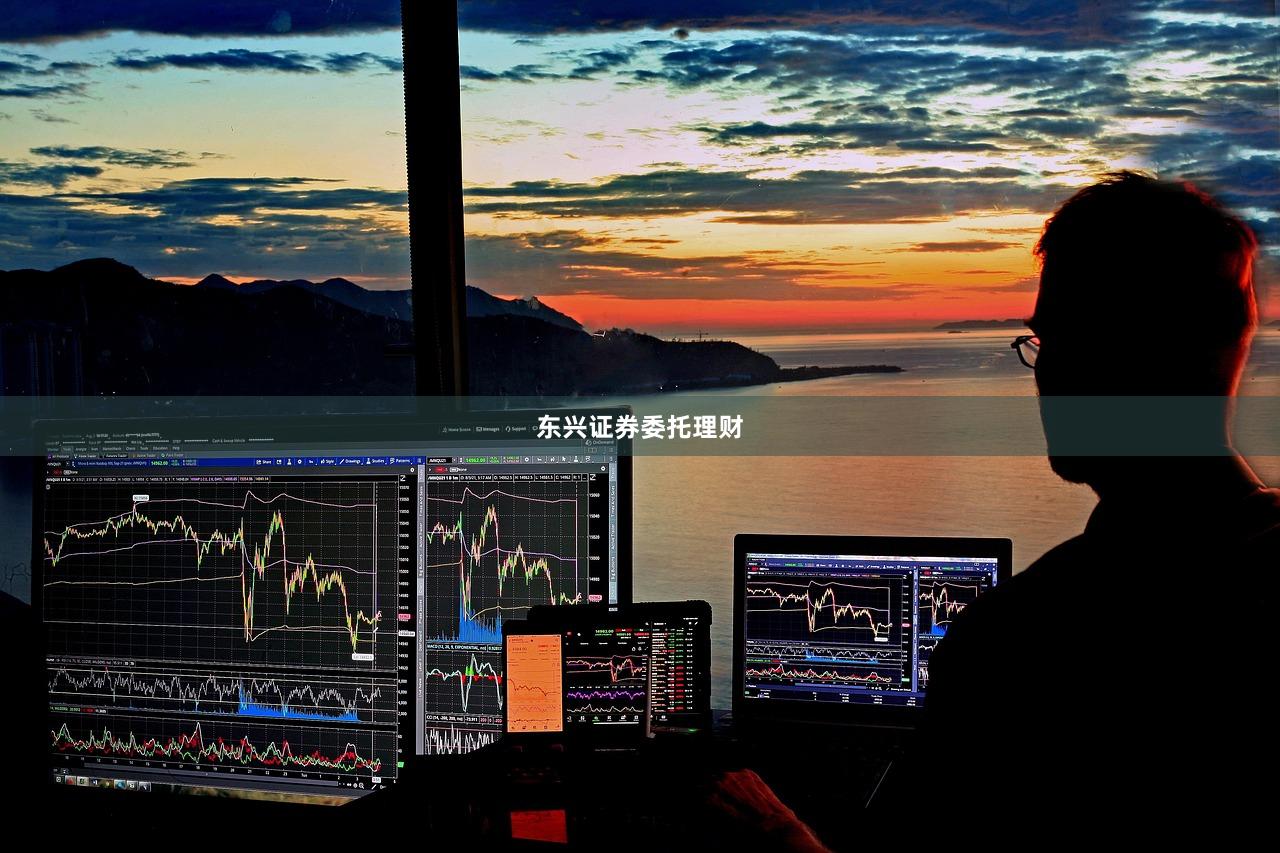 东兴证券委托理财