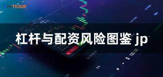 杠杆与配资风险图鉴 jp
