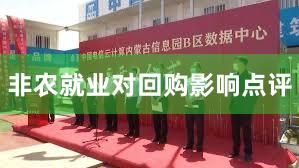 非农就业对回购影响点评