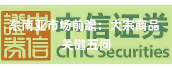 东南亚市场前瞻：大宗商品 关键五问